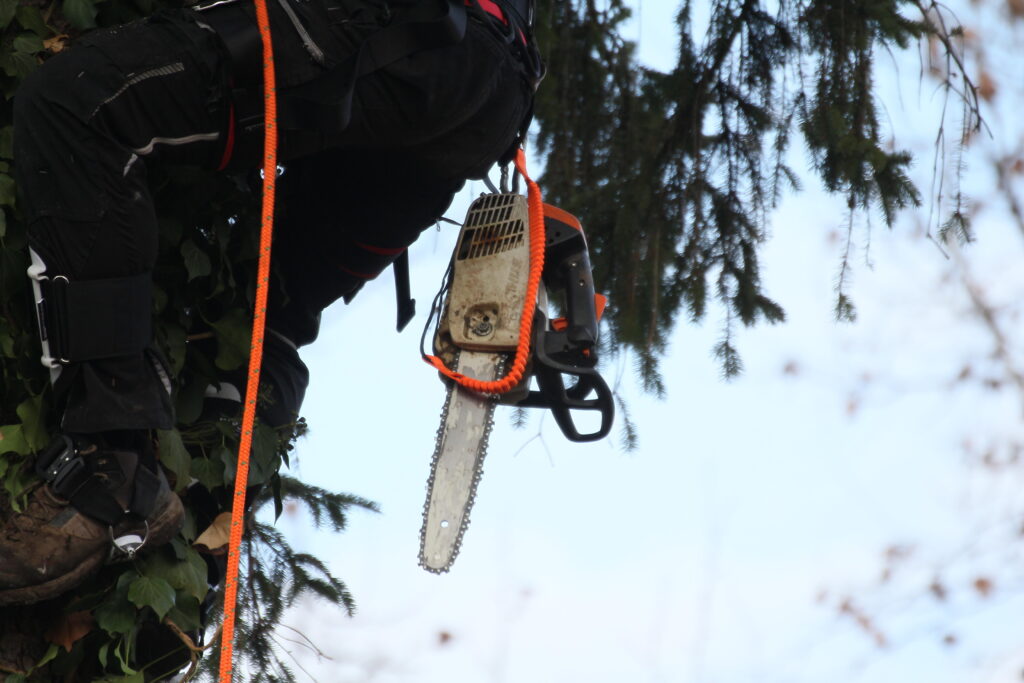 Egykezes stihl fűrész, amely megkönnyíti az alpin technikával foglalkozó favágók munkáját.